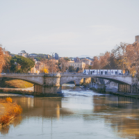 📚 Lungotevere Oberdan: il cuore storico del mercatino dei libri usati